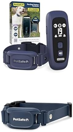 Complete Buyer's Guide to Dog Training Collars for Agility i