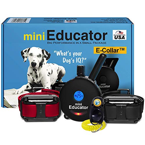 Educator Educator ET-302 Black Mini E Collar for Dog Training with Rem — Side-by-side comparison of top picks in this category