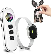 Budget Guide: How Much Should You Spend on an Agility Dog Tr