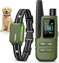What Is the Best Stimulation Level for Agility Training Coll