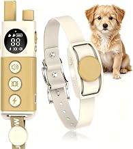 How to Use an E-Collar for Dog Agility Training: Complete Gu