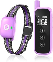 Best Budget Dog Training Collars for Agility Beginners Under