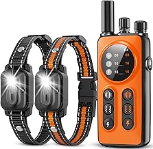 How to Choose a Waterproof Training Collar for Agility Trial