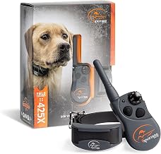 How to Fit a Training Collar Correctly for Agility Performan