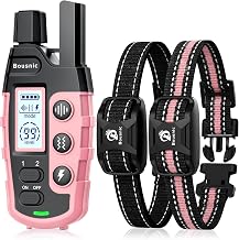 How to Introduce a Training Collar to Your Agility Dog: Step-by-Step