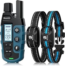 Dogtra 1900S Review: Performance Testing for Agility Handlers