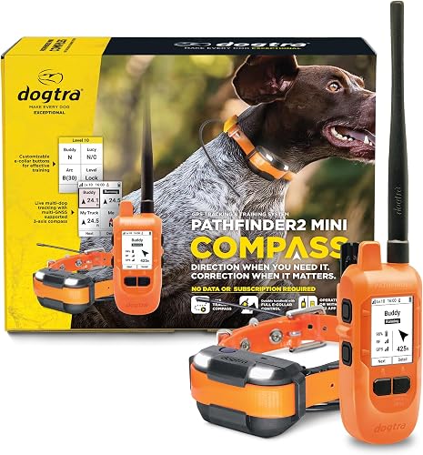 Best Lightweight E-Collars for Agility Dogs: Top 7 Featherwe