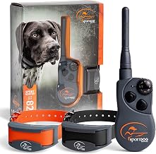 Garmin Sport PRO Review: Is It the Best Collar for Agility T